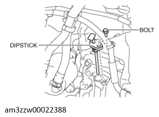 G13558429