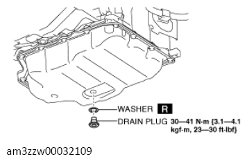 G13558436