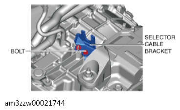 G13558446