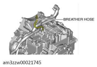 G13558448