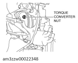 G13558451