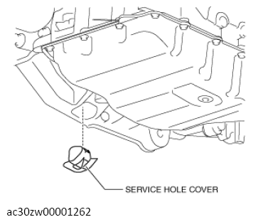 G13558452