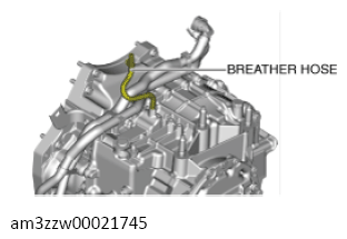 G13558485