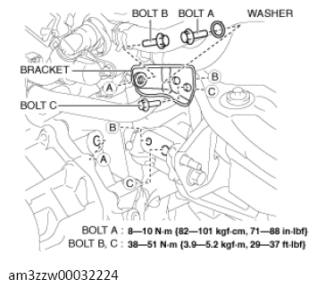 G13558486