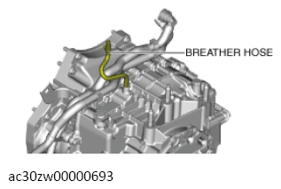 G13558499