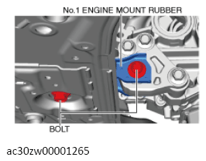 G13558529