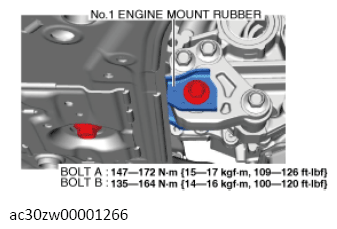 G13558532
