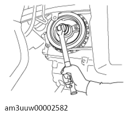 G13558535