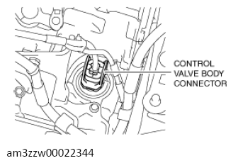 G13558545