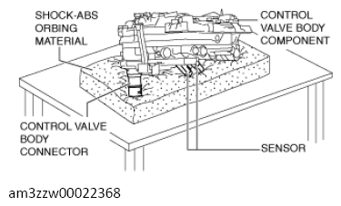 G13558546