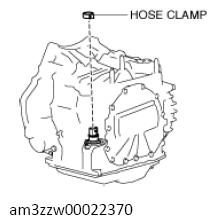 G13558548