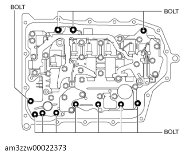 G13558551