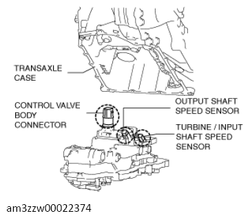 G13558555