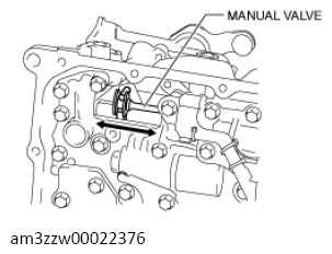 G13558557