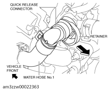 G13558594