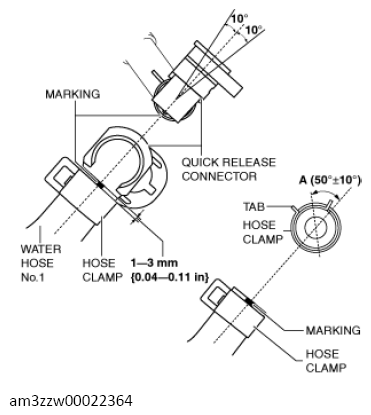 G13558598