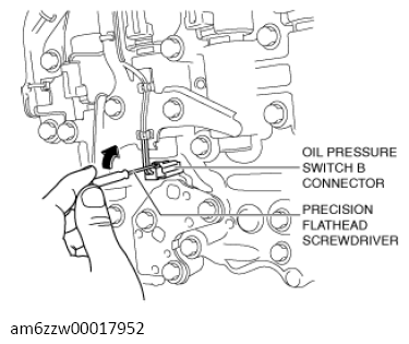 G13558613