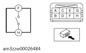 G13558656