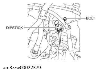 G13558660