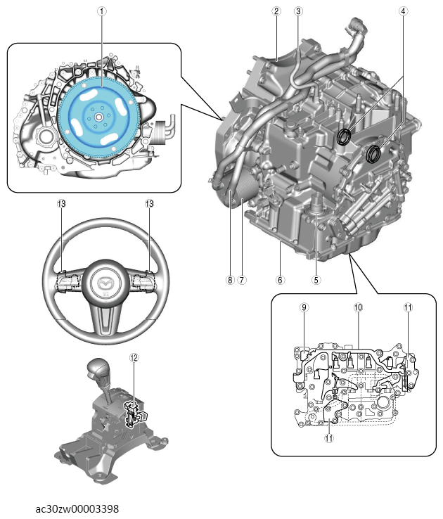 G13558666
