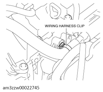 G13558684