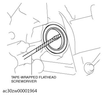 G13558866