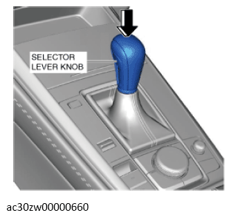 G13558919