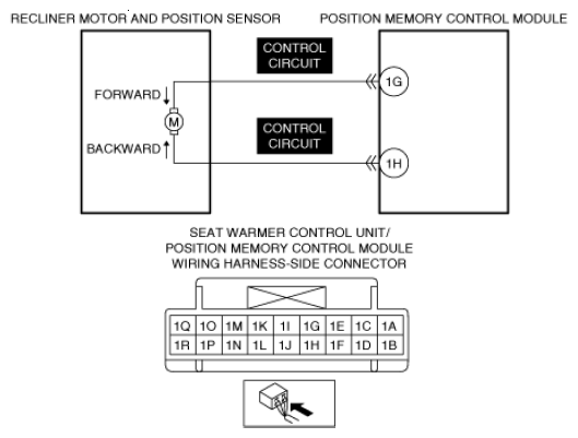 G13559055