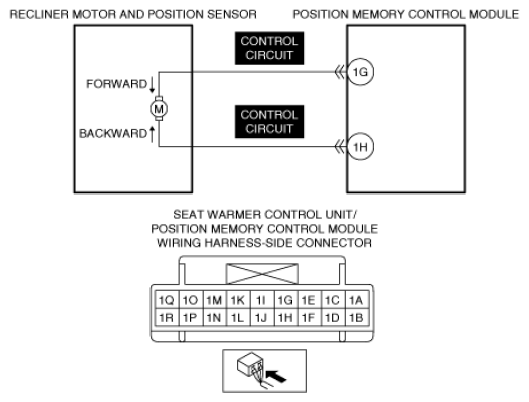 G13559056