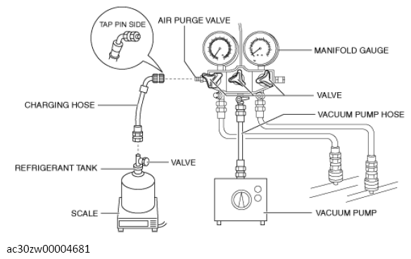 G13559096