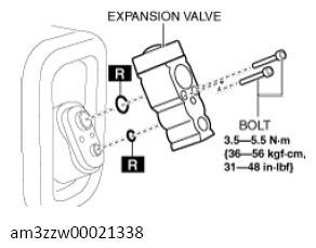 G13559148