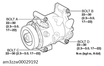 G13559197
