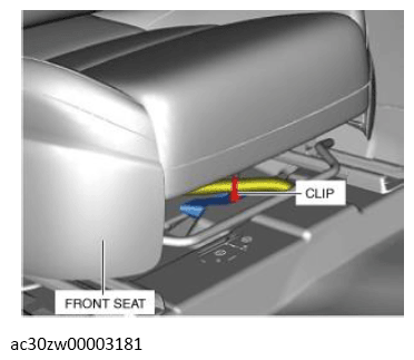G13559206