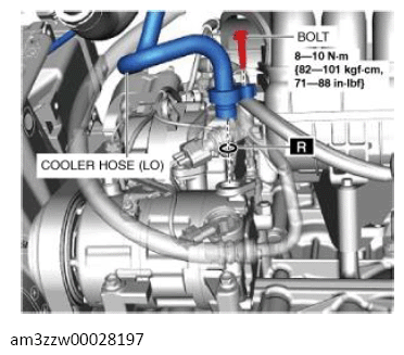 G13559232