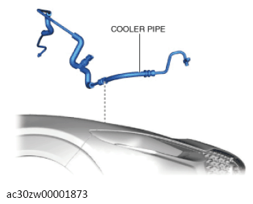 G13559238
