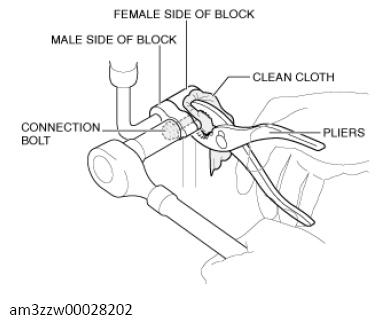 G13559239