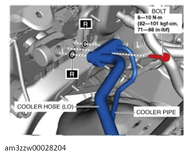 G13559244