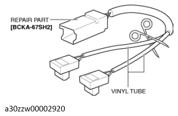 G13559396