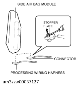 G13559405