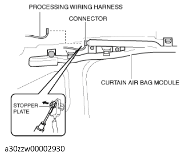 G13559406