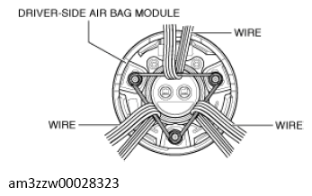 G13559409