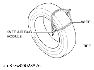 G13559424