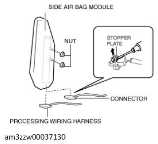 G13559436