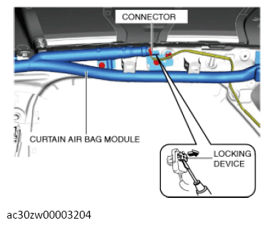 G13559481