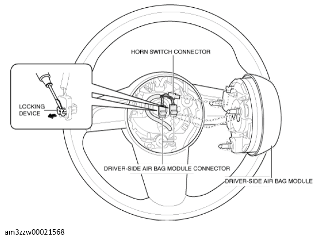 G13559495