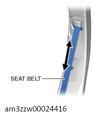 G13559559