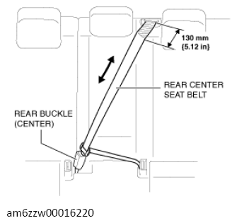 G13559561