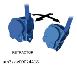 G13559562