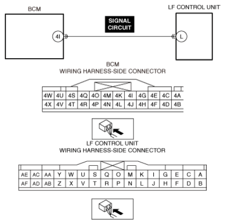 G13559651