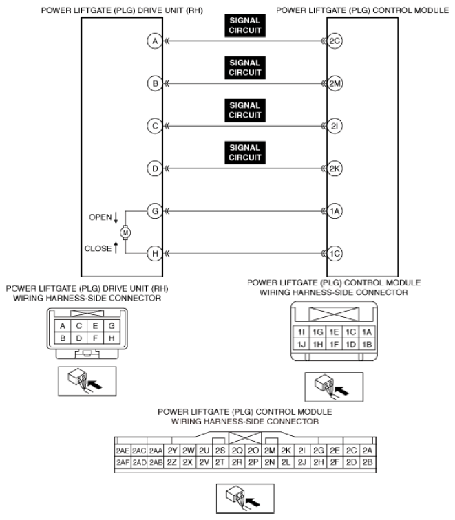 G13559662